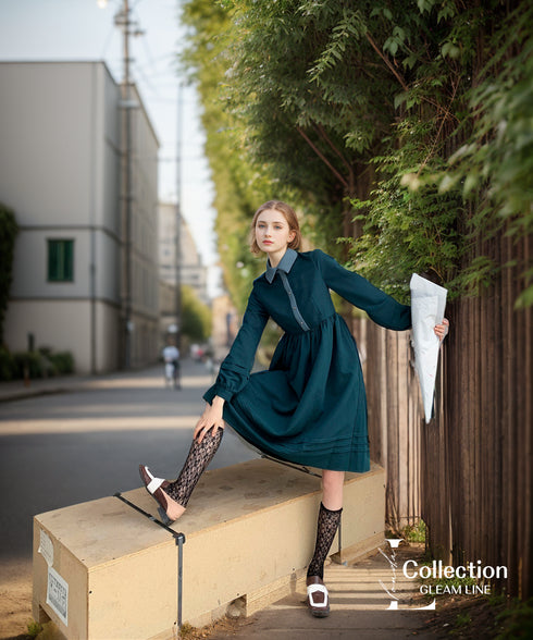 False Collar Dress